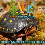AZA SAFE American Turtles|AZA-SAFE-American-Turtles-1|AZA-SAFE-American-Turtles-2