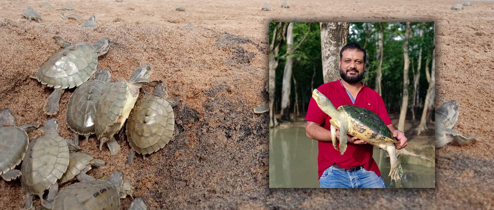 Behler Award_Shailendra Singh_Web Slider copy 3|Shailendra-Singh-copy|Behler Award_Shailendra Singh_Web Slider copy|Behler Award_Shailendra Singh_Web Slider copy 2