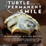 Burmese-Roofed-Turtle-Movie-Poster-FINAL