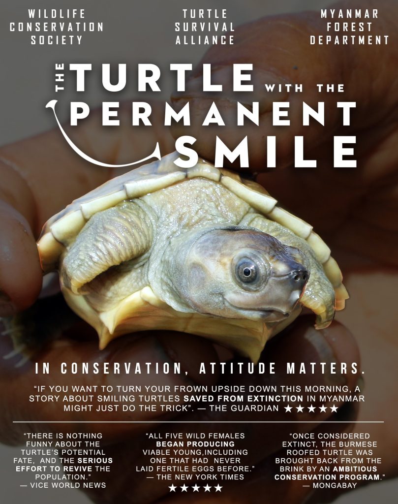 Burmese-Roofed-Turtle-Movie-Poster-FINAL