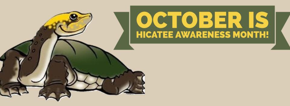 Hicatee Awareness Month Banner 1