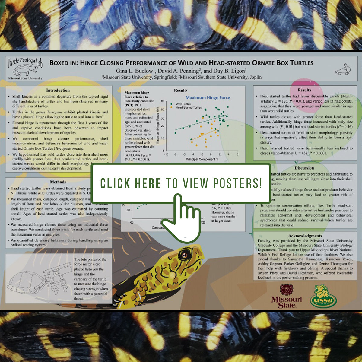 Poster Session Promo eBlast 08_05_21 copy|2021 Conference Announcement