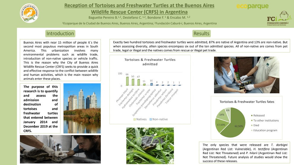 Poster_Pereiro_TSA2020|Borja-Baguette-Pereiro-Poster_BaguettePereiro1_TSA2020