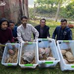 Rare-Turtles-Bangladesh-1|Rare-Turtles-Bangladesh-2|Rare-Turtles-Bangladesh-3