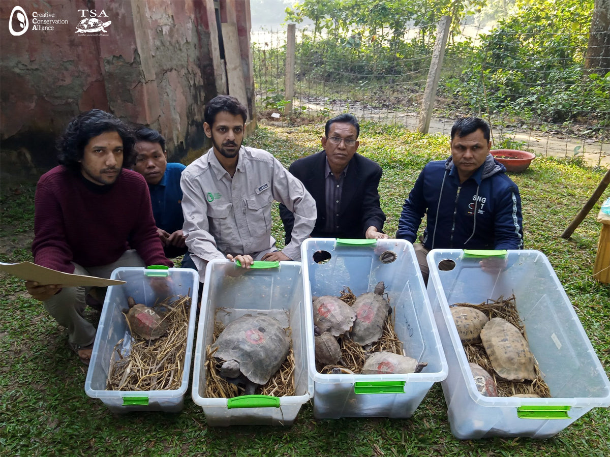 Rare-Turtles-Bangladesh-1|Rare-Turtles-Bangladesh-2|Rare-Turtles-Bangladesh-3