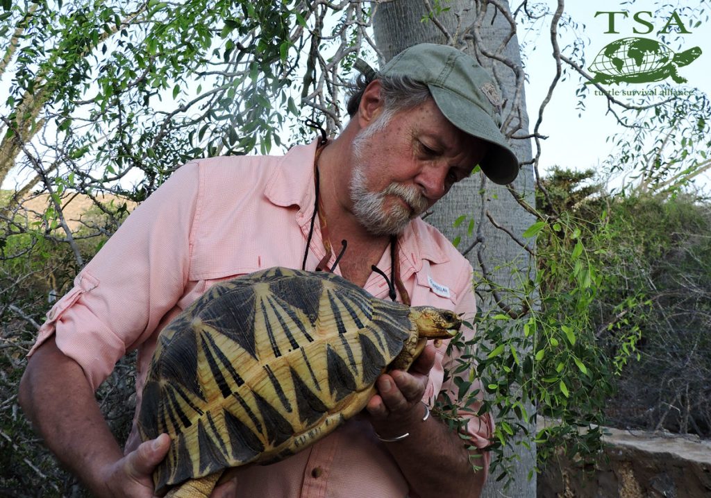 Rick Hudson with Tortoise WEBSITE|Arunima-Feeding-Turtles|Hiding-Platynota|Rick-Hudson-with-Tortoise