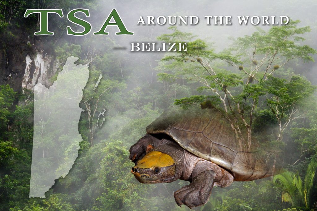 TSA-Across-the-World-Belize-Cover-Photo-2|TSA Across the World - Belize Cover Photo for Website