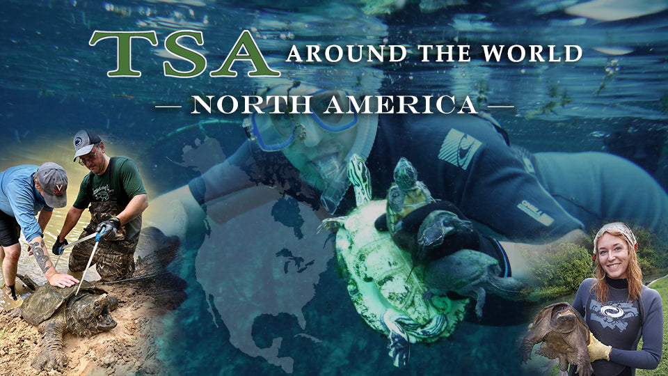 TSA Around the World _North America for WEB|TSA Around the World _North America 2|TSA-Around-the-World-_North-America-2-1