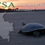TSA Around the World_Colombia for Web|TSA-Around-the-World_Colombia|TSA Around the World_Colombia for Web|TSA Around the World_Colombia for Web