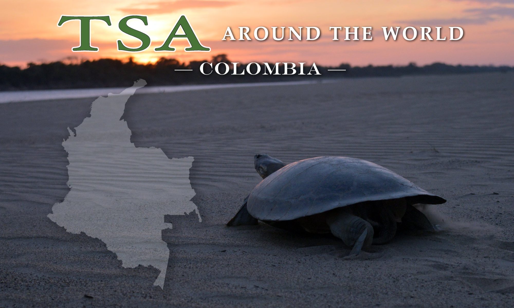 TSA Around the World_Colombia for Web|TSA-Around-the-World_Colombia|TSA Around the World_Colombia for Web|TSA Around the World_Colombia for Web