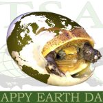 TSA Earth Day FINAL|TSA Earth Week FINAL