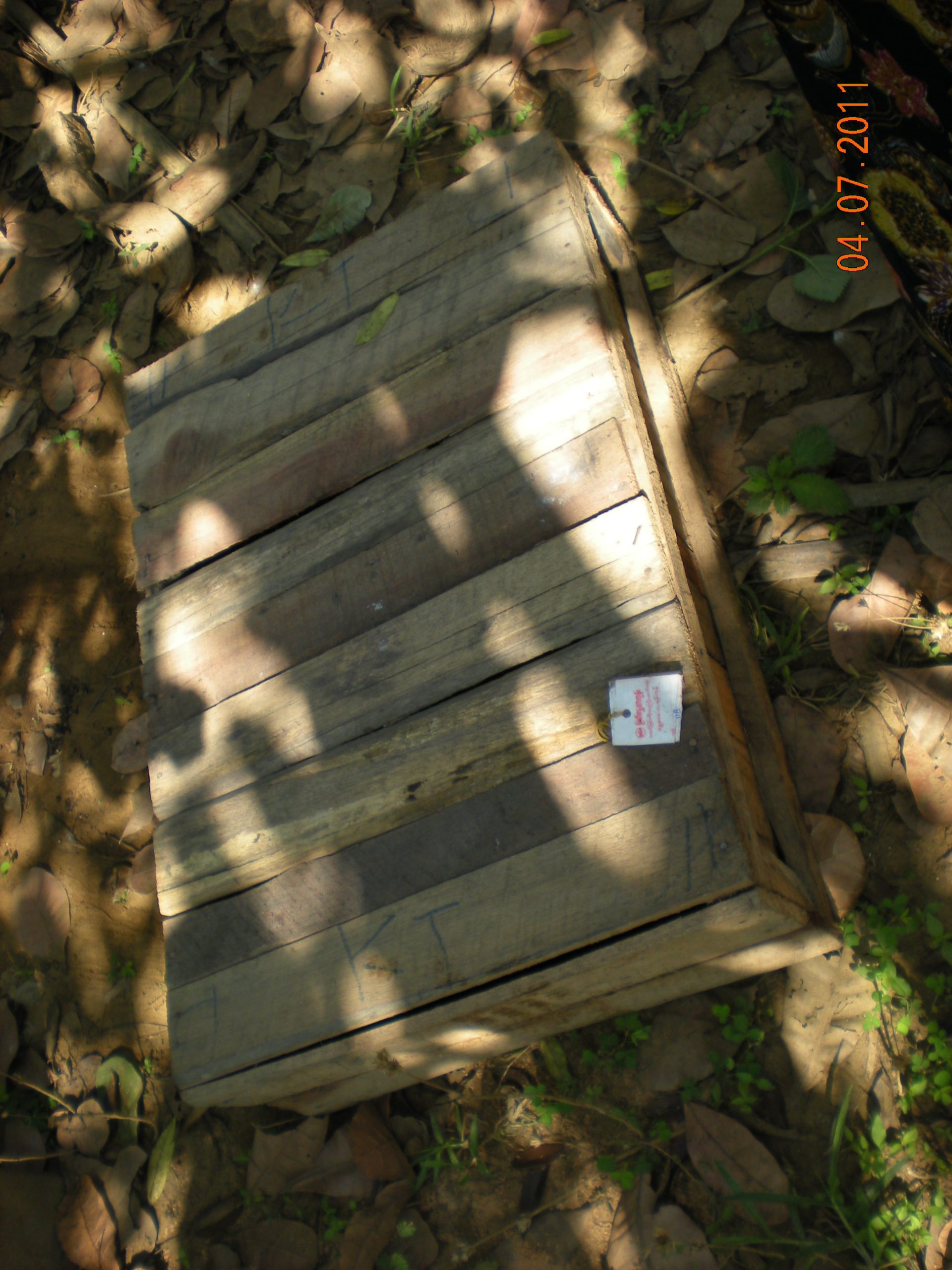 This_wooden_box_was_used_to_transport_the_turtles_to_their_new_facility_safely