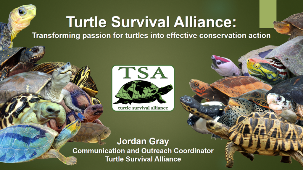 Transforming Passion for Turtles into Effective Conservation Action PROMO|Webinar-Promo-3