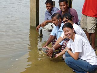 fishermen-releasing-batagur