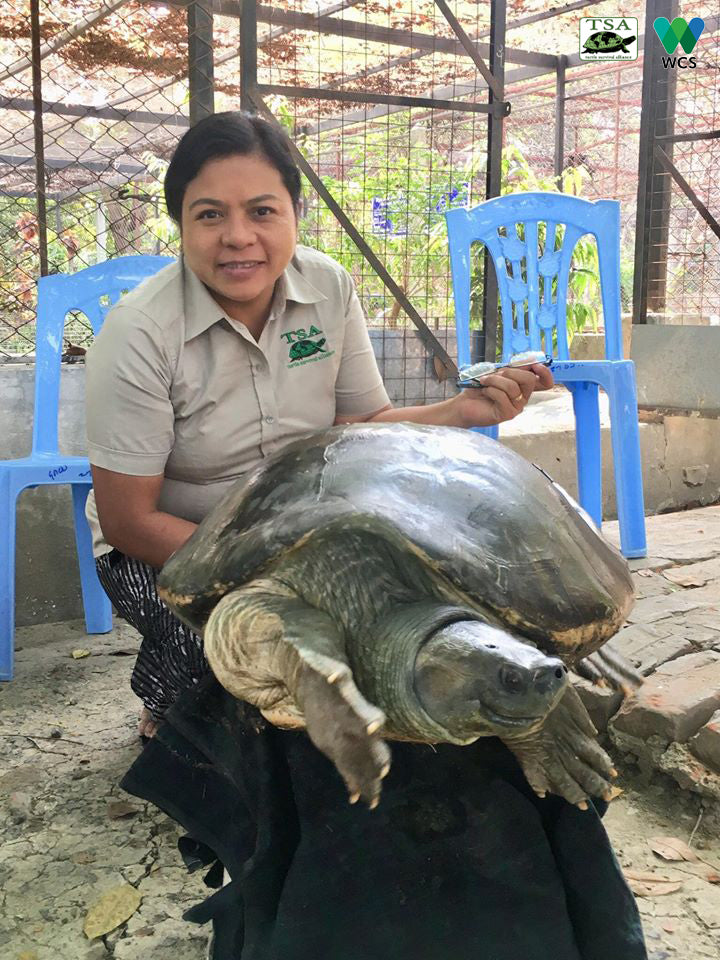 Construction Projects Wrapping Up In Myanmar Turtle Survival Alliance 