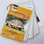tortoise_and_freshwater_turtles_id_cards__1_|totroise_and_freshwater_turtles_poster|turtle_poster_launch_1