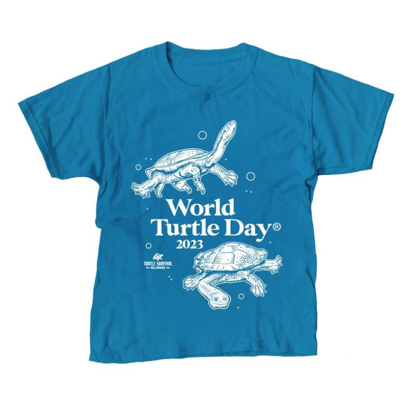 Save the Turtles! Celebrate World Turtle Day