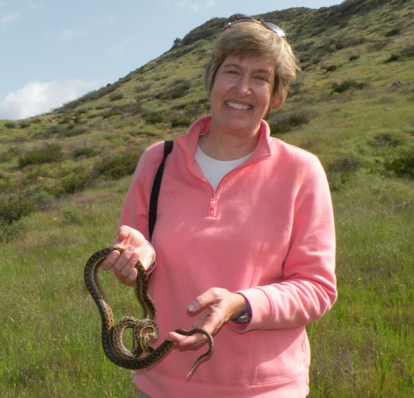 AA Gopher snake close up