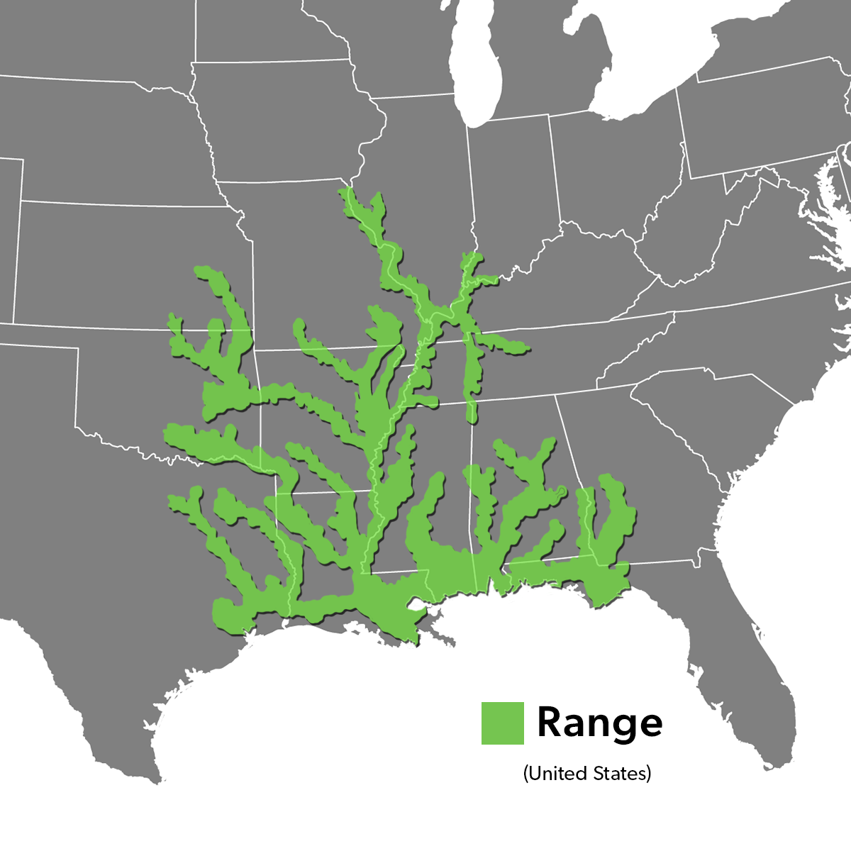 Species Range Map - Alligator Snapping Turtle