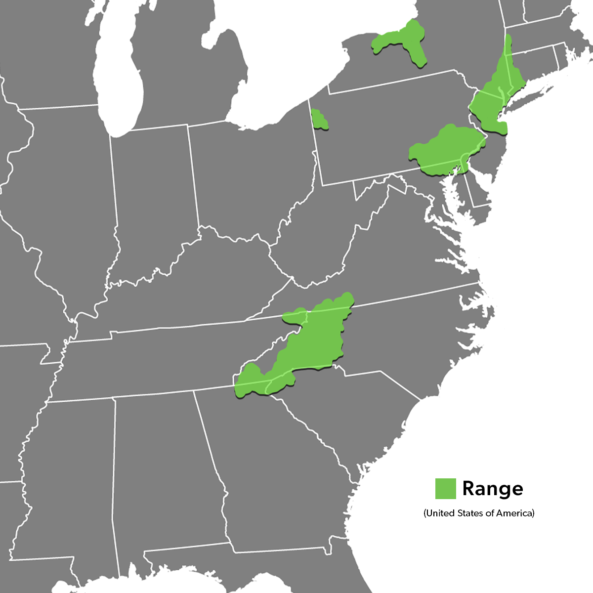 Species Range Map - Bog Turtle_