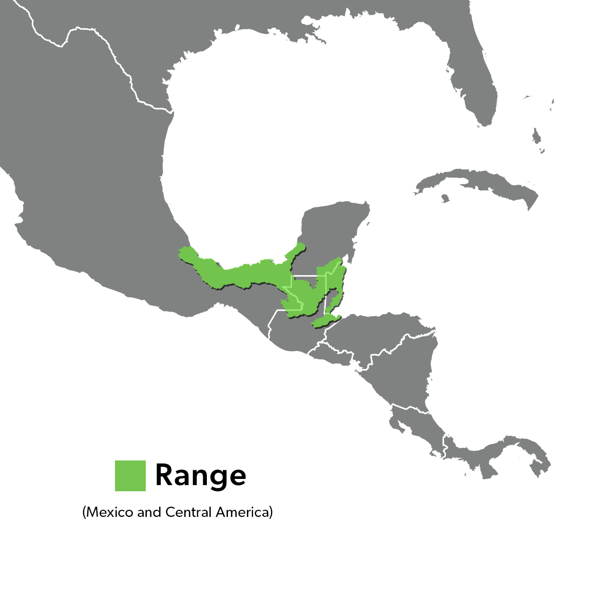 Species Range Map - Central American Turtle