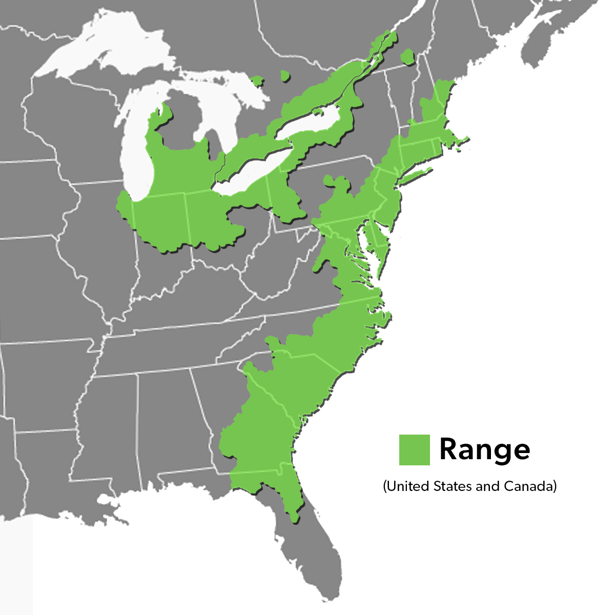 Species Range Map - Spotted Turtle