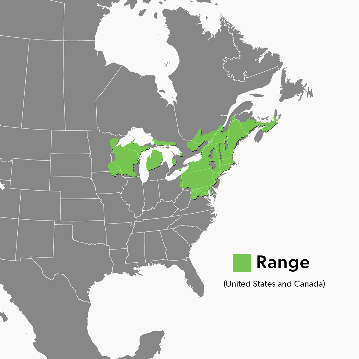 Species Range Map - North American Wood Turtle