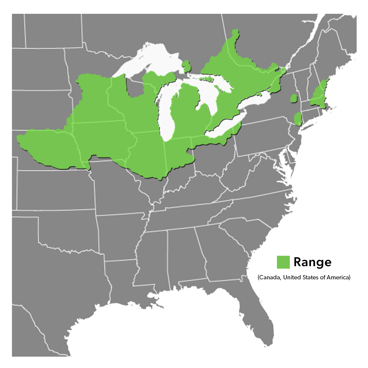 Species Range Map - BlandingsTurtle