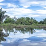 Landscape of the ponds and tropical dry forests in the Reserva Natural La Carranchina, Colombia, on 27 September 2022.