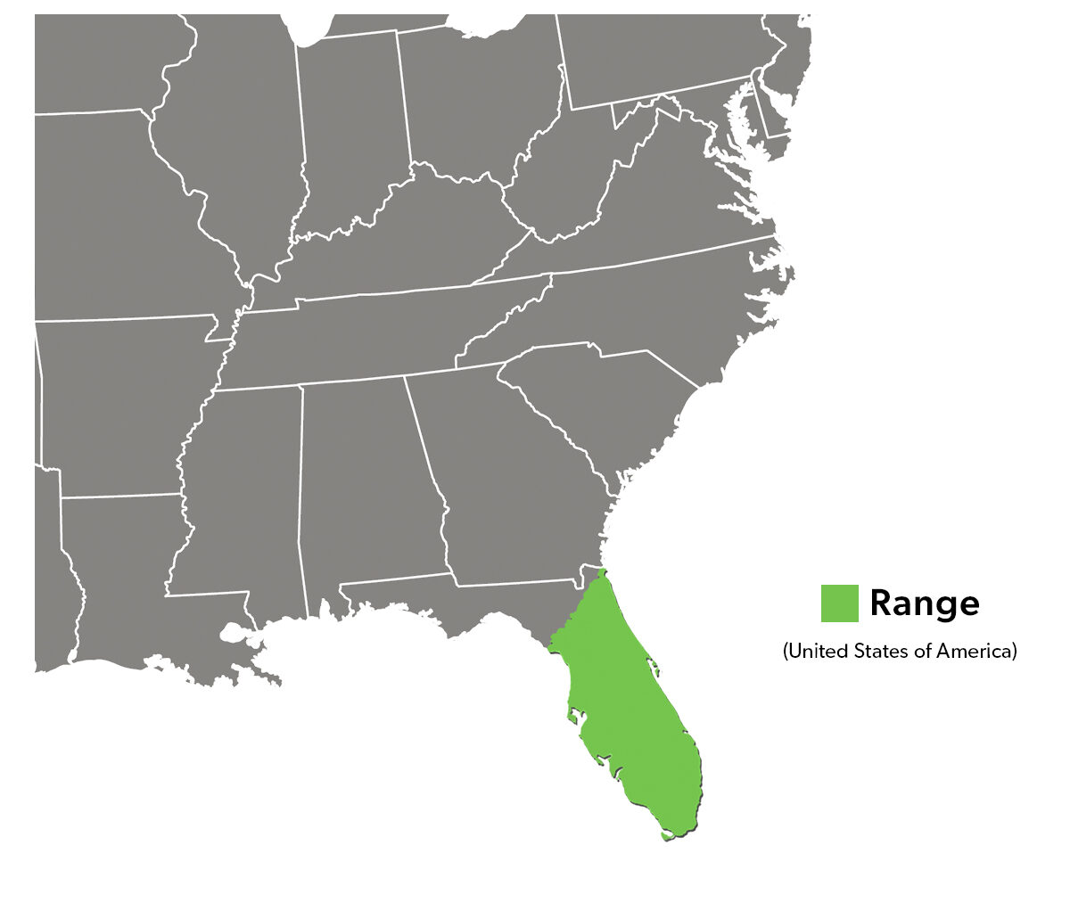 Species Spotlight Infographic_Peninsula Cooter