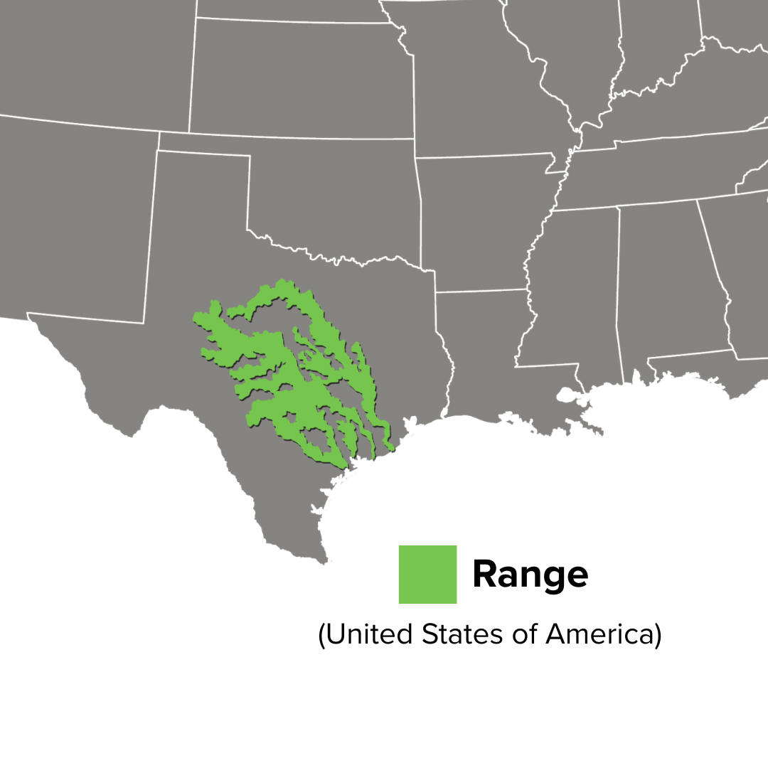 Pseudemys texana Range Map