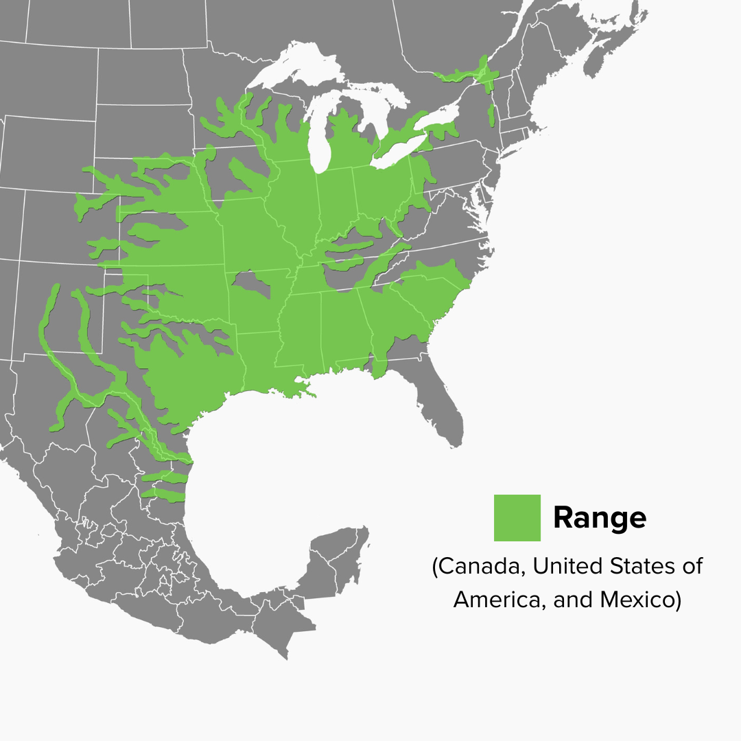 Apalone spinifera Range Map