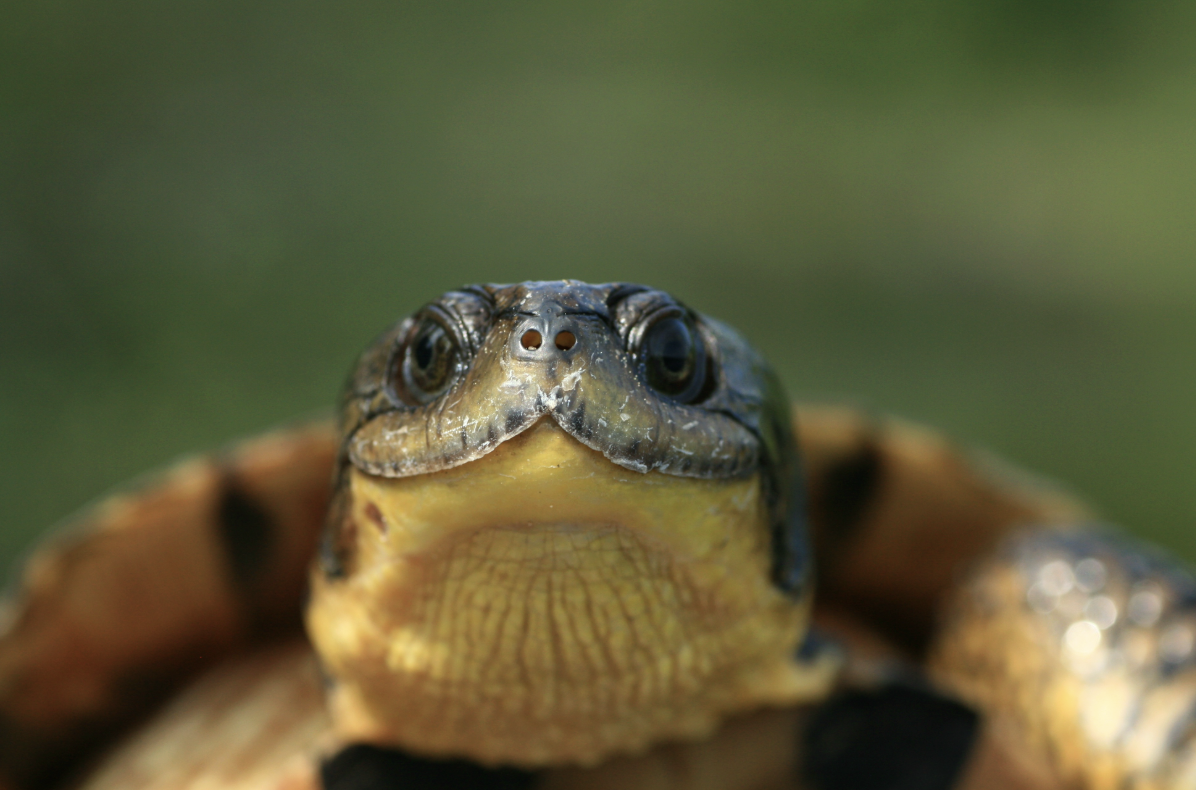 Screenshot 2026-02-24 at 9.33